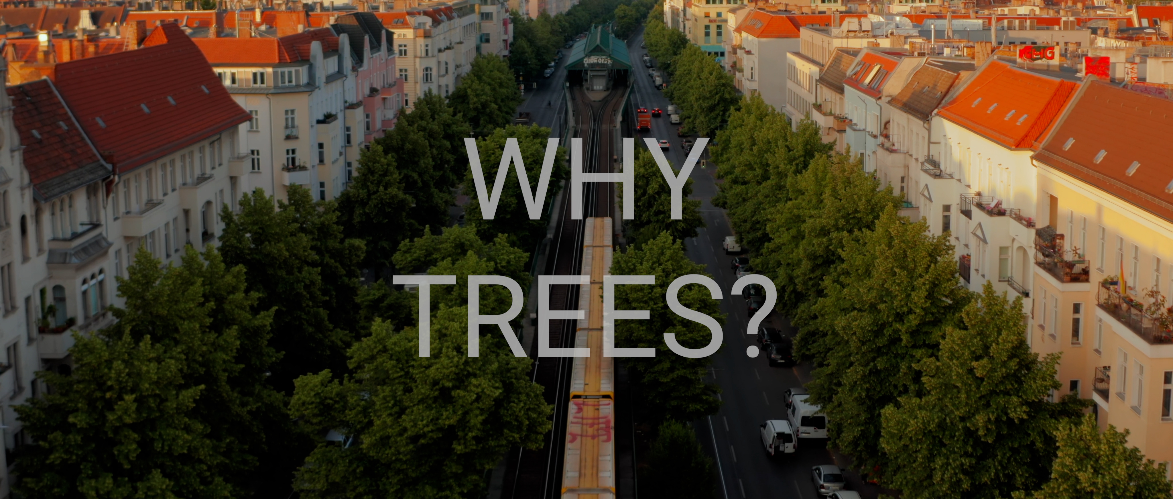 Why trees?