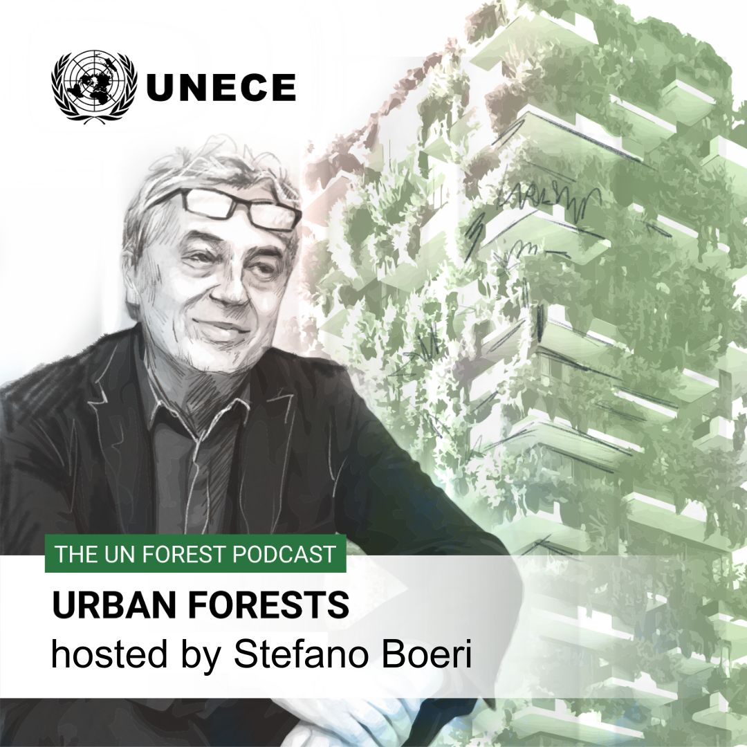 The UN Forest Podcast cover