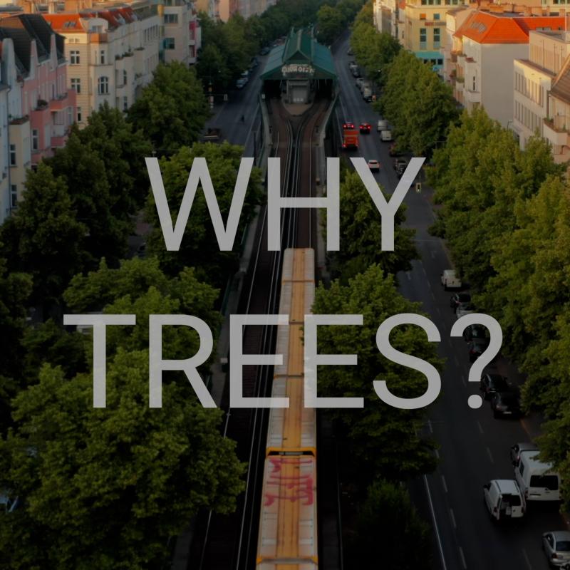 Why trees?